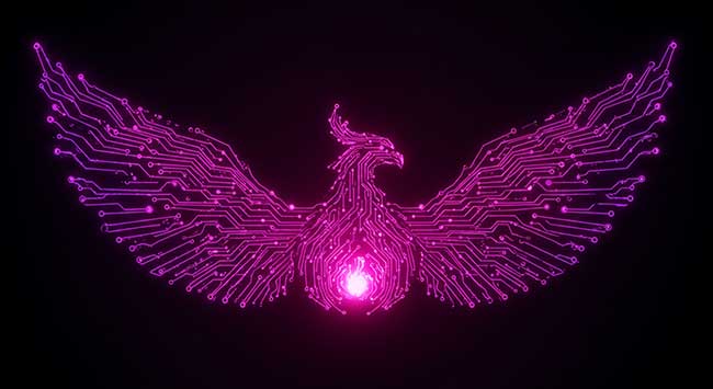 isocel-telecom-offres-services-drc-backup